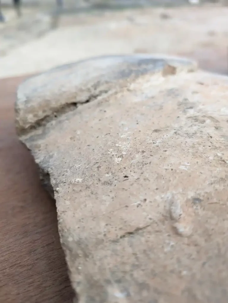 Fragmento de una tinaja procedente del yacimiento de la bodega romana de Baños de El Peral en Valdepeñas