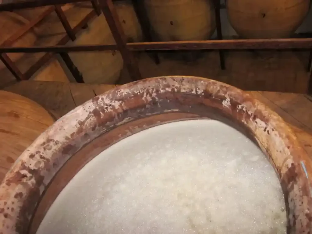 Fermentación de vino en tinajas de barro cocido